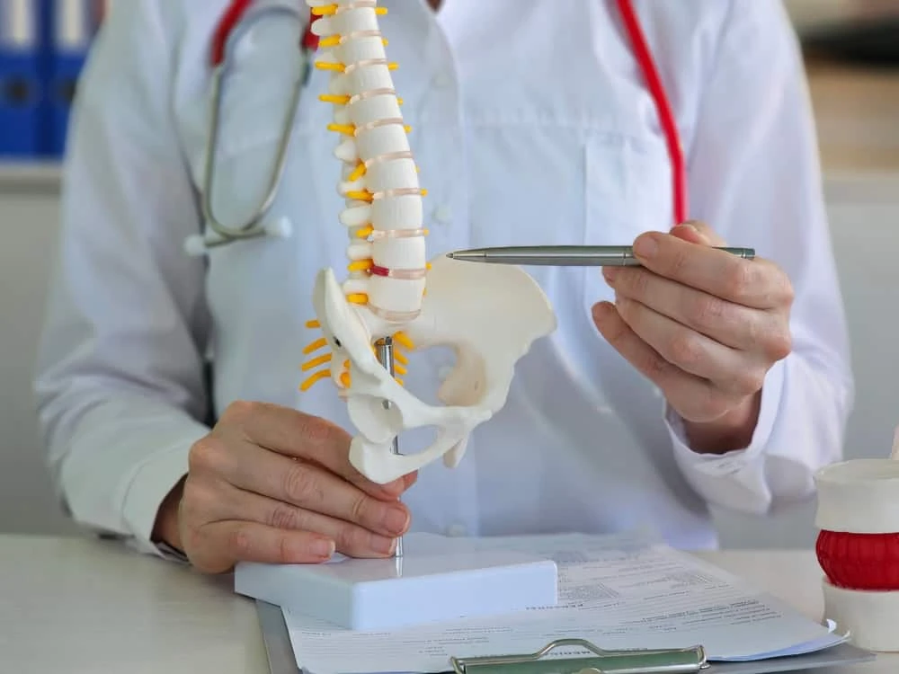 A person in a white coat with a red stethoscope around their neck is holding and pointing to a model of a human spine and pelvis using a pen, likely discussing pain management NYC techniques. Papers and another model piece are on the table.