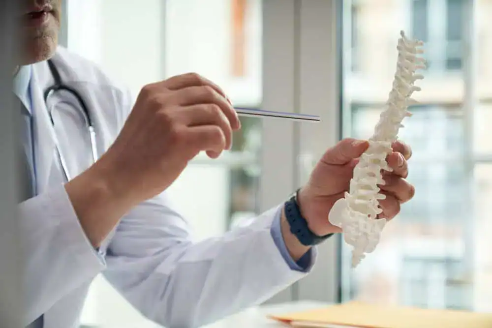 A doctor in a white coat holds and points to a spine model with a metal pointer, offering insights into pain management NYC. A window with a blurred background is visible behind them.